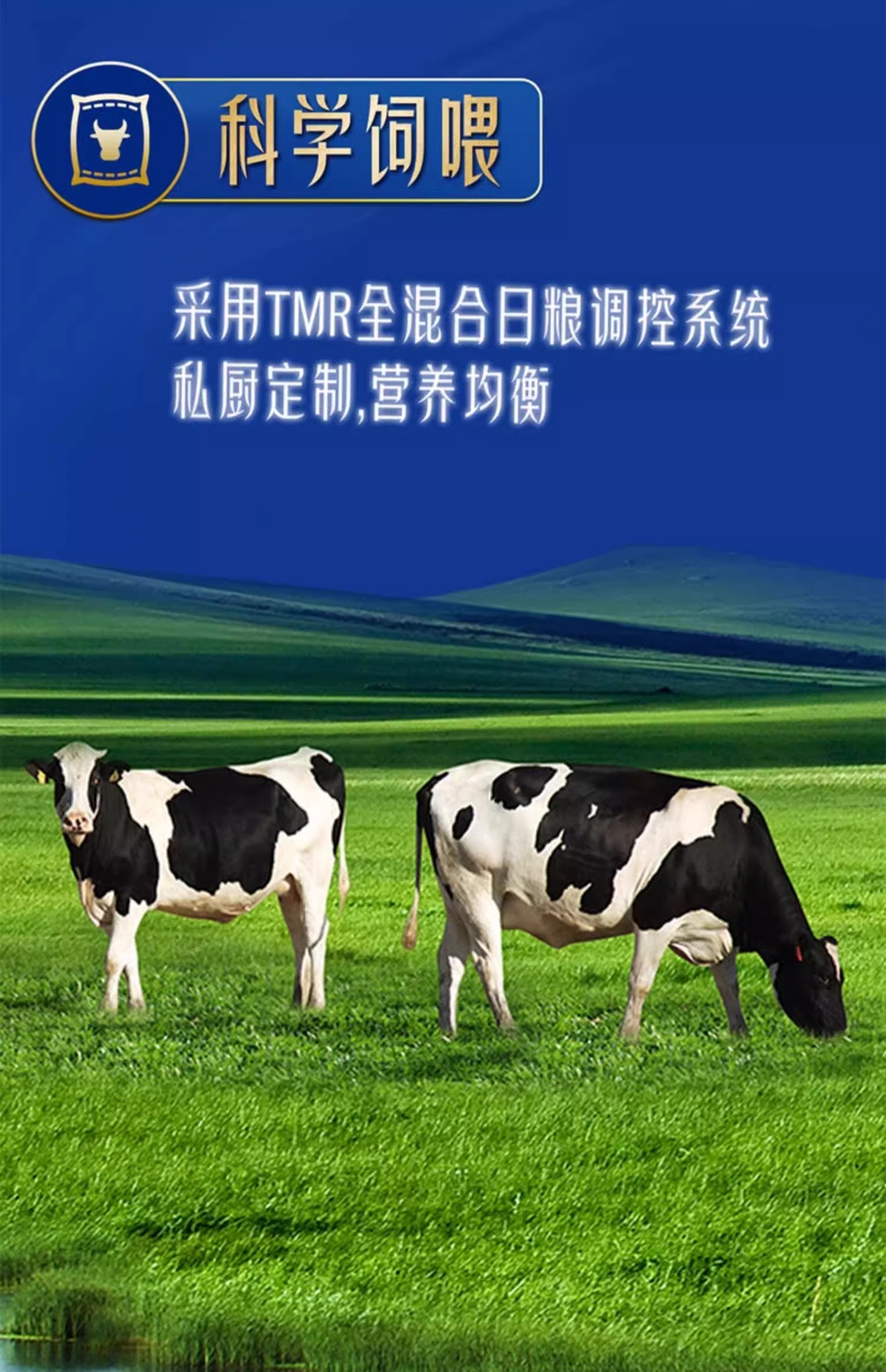 1744341104324060.jpg